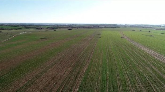 Edirne'de icradan satılık tarla (Çoklu satış)