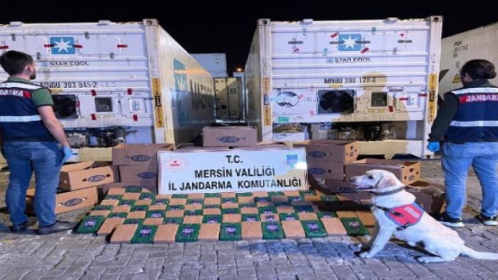 Yük gemisinde, muz kolilerine gizlenen 258 kilo kokain ele geçirildi