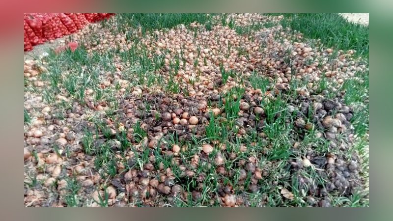 Çiftçi isyan bayrağını çekti! Hal yasası isteniyor