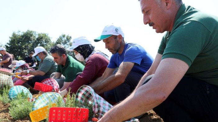 Kooperatif ve birliklere yüzde 75 hibe desteği
