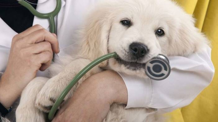 Manisa Akhisar Belediyesi işçi alacak