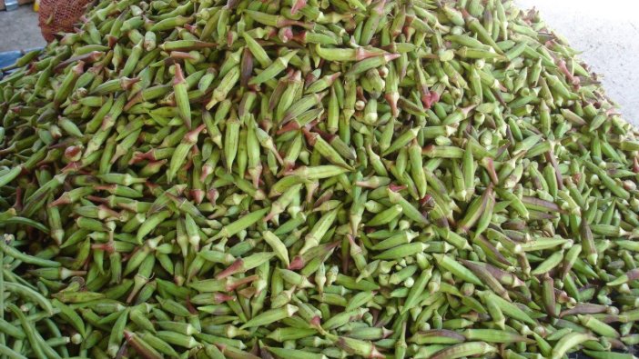 Mustafakemalpaşa Belediyesi’nden çiftçilere tohum yardımı