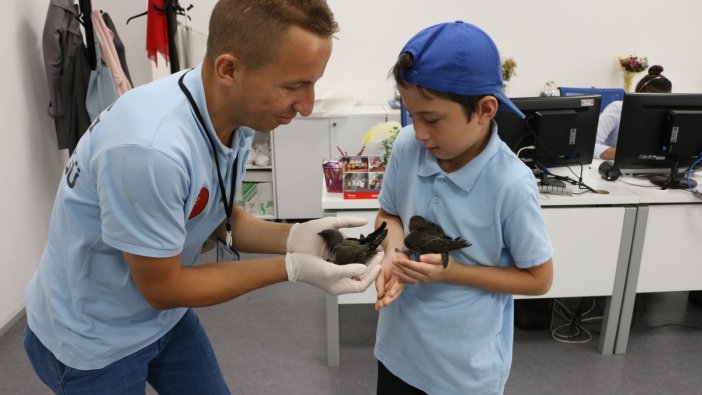 Ebabil kuşları emin ellerde