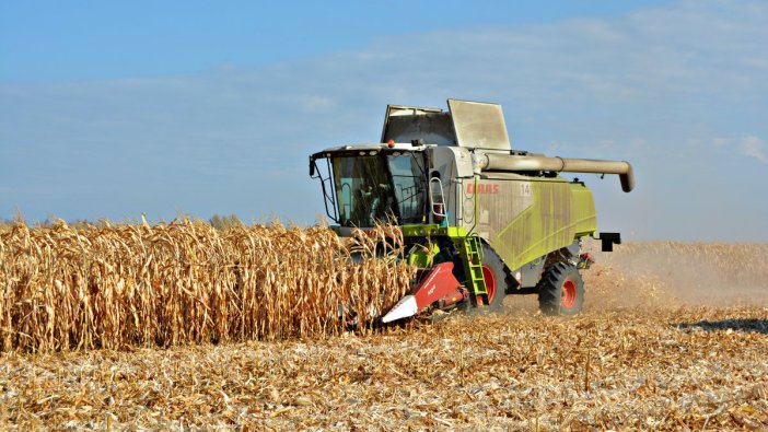 TMO'dan buğday kararı: Tam 48 bin ton