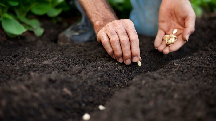 İzmir'de çiftçilere ve kadınlara tohum dağıtıldı