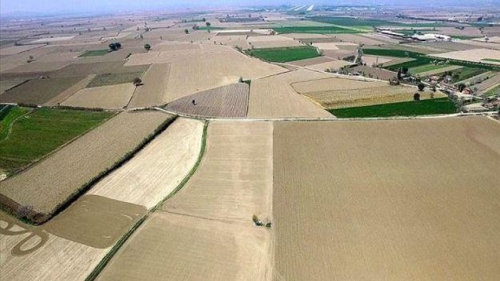 Hekimhan’da icradan satılık tarım arazisi