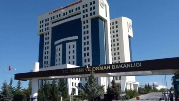Tarım ve Orman Bakanlığı 2 işçi alacak