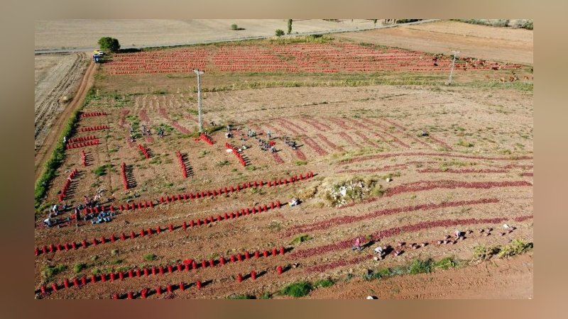 Yozgat'ta icradan satılık tarla