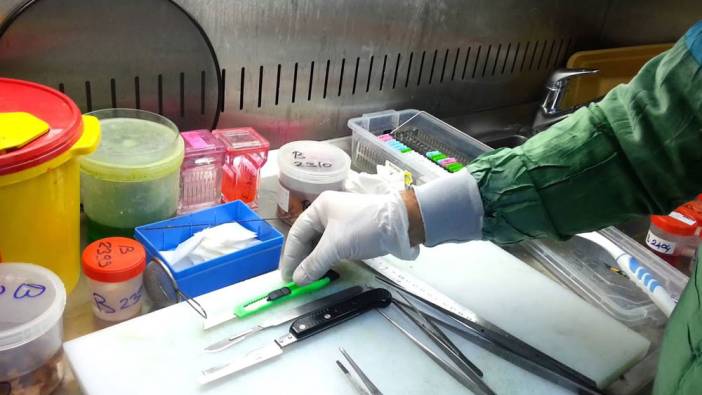 İstanbul Fatih Sultan Mehmet Eğitim Ve Araştırma Hastanesi laboratuvar malzemesi alacak