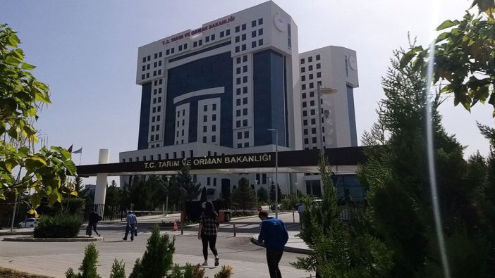 Tarım ve Orman Bakanlığı 1 personel alacak