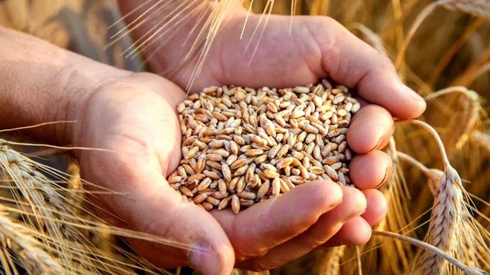 Tarım ve Orman Bakanlığı'ndan ekmek açıklaması