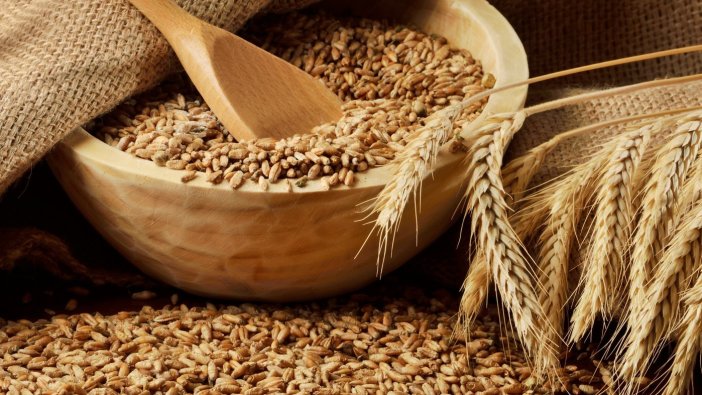 Cumhurbaşkanı Erdoğan buğday ve arpa alım fiyatını açıkladı