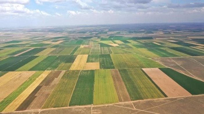 Gaziantep'te icradan satılık tarım arazisi