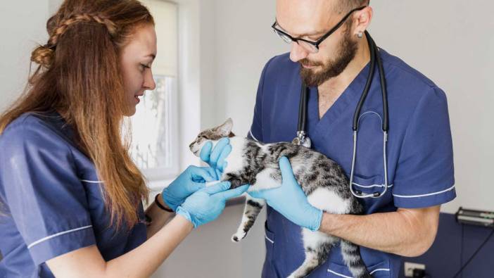 Zonguldak Çaybel personel alacak