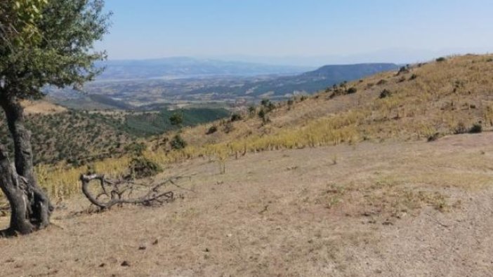 Manisa'da icradan satılık tarla