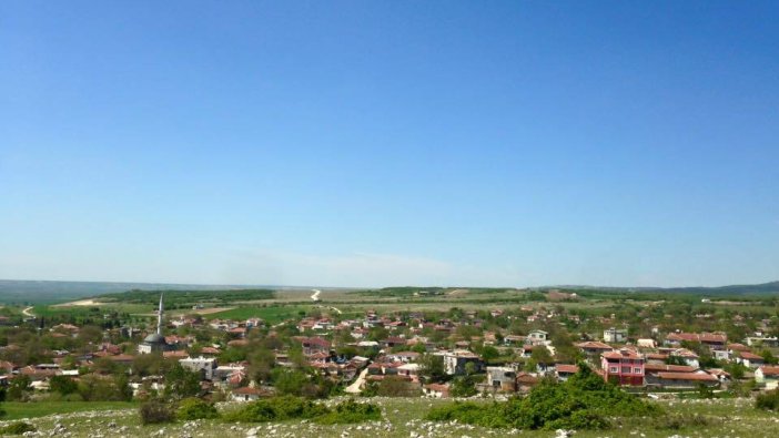 Kırklareli'de icradan satılık tarla (çoklu satış)