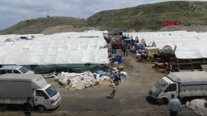 Kurban pazarlarında hareketlilik