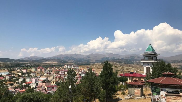 Gümüşhane'de icradan satılık tarım arazisi