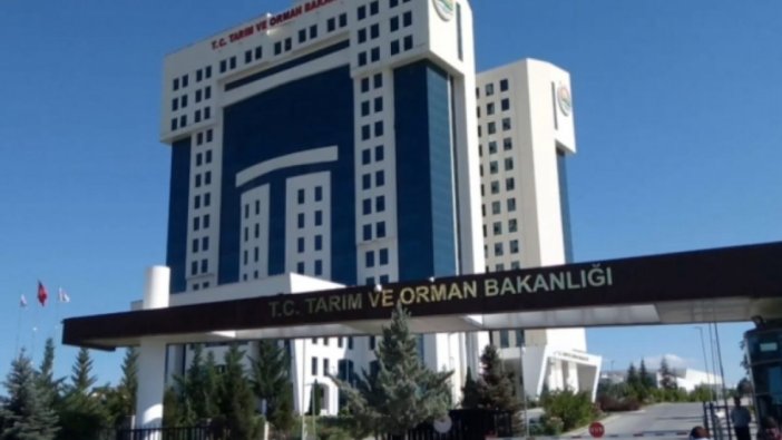 Tarım ve Orman Bakanlığı personel alacak