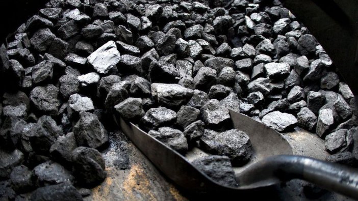 Bingöl Orman İşletme Müdürlüğü kömür satın alacak