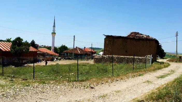 Uşak'ta icradan satılık ceviz bahçesi