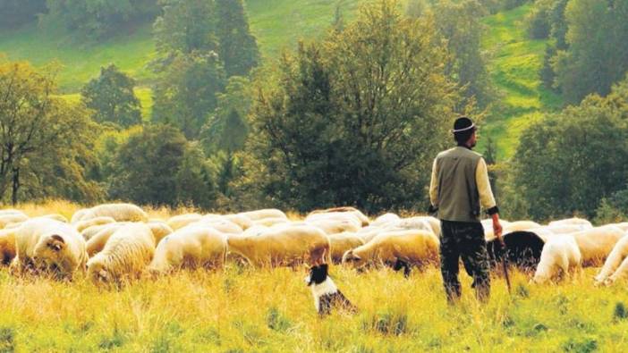 İstanbul Alpubel personel alacak