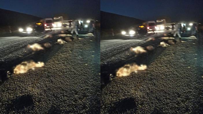 Minibüs koyun sürüsüne daldı: 40 koyun telef