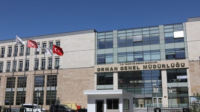 Orman Genel Müdürlüğü 338 personel alacak