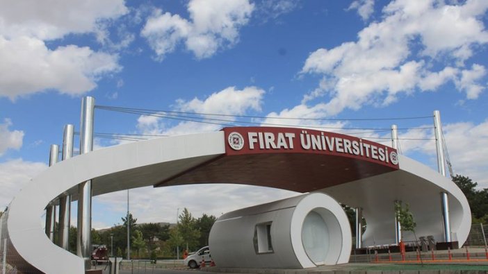Fırat Üniversitesi 17 akademik personel alacak