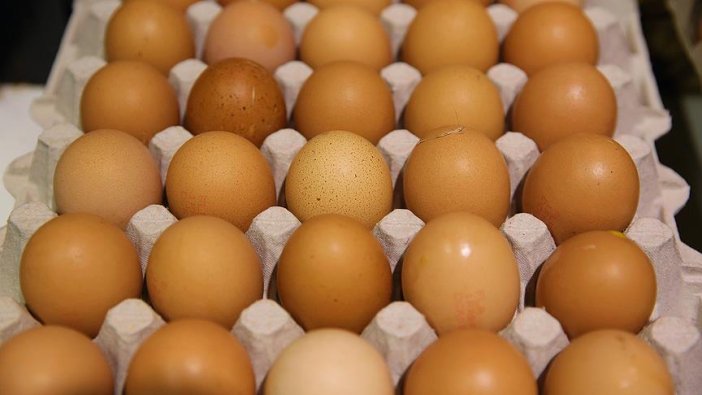 Böcek ilaçlı yumurtalı ürün ithal eden şirket sayısı 14'e ulaştı
