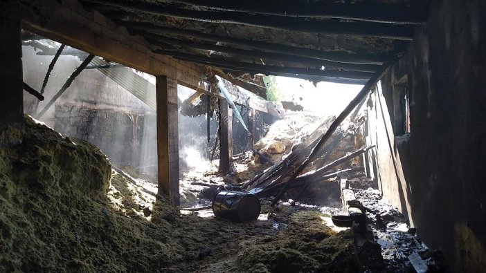 50 ton saman kül oldu