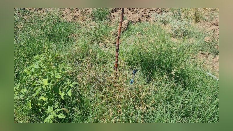 Malatya'da icradan satılık arsa