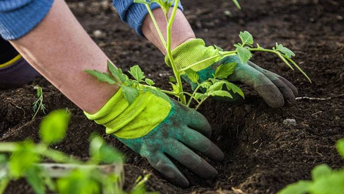 Aydın Buharkent Belediyesi işçi alacak
