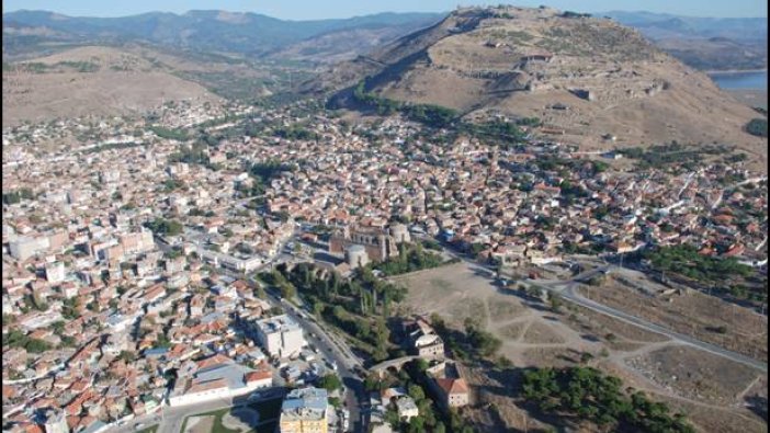 İzmir'de icradan satılık tarım arazisi