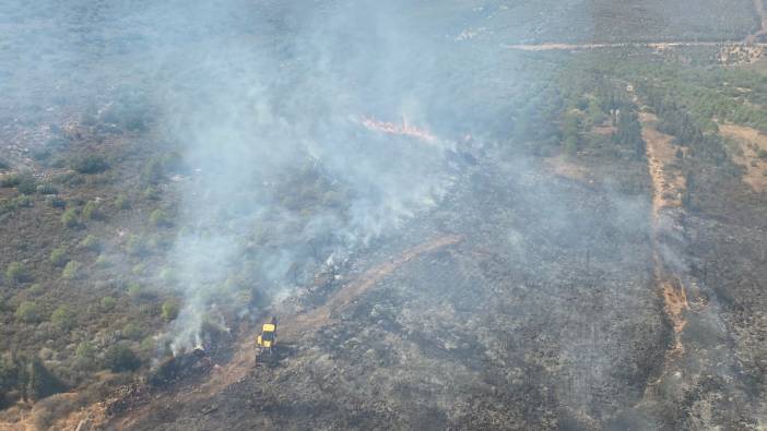 İzmir'de makilik alanda yangın