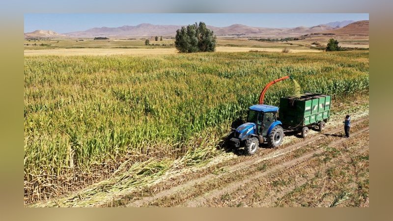 Çiftçiler için yeni dönem: e-Devlet'ten kayıt olunacak