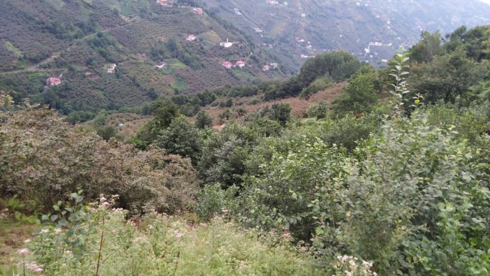 Trabzon'da icradan satılık arsa