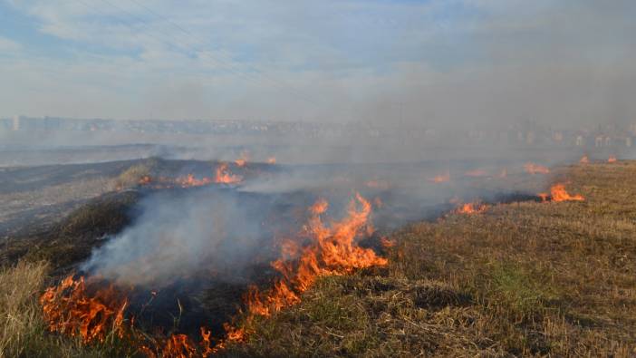 Tekirdağ'da tarla küle döndü