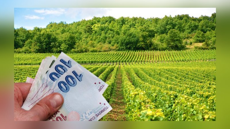 Çiftçiye yüzde 75 hibe desteği