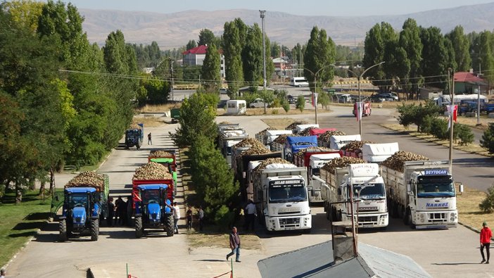 Muş’ta şeker pancarı alım kampanyası başladı