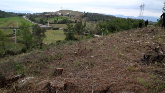 Antalya'da icradan satılık tarla