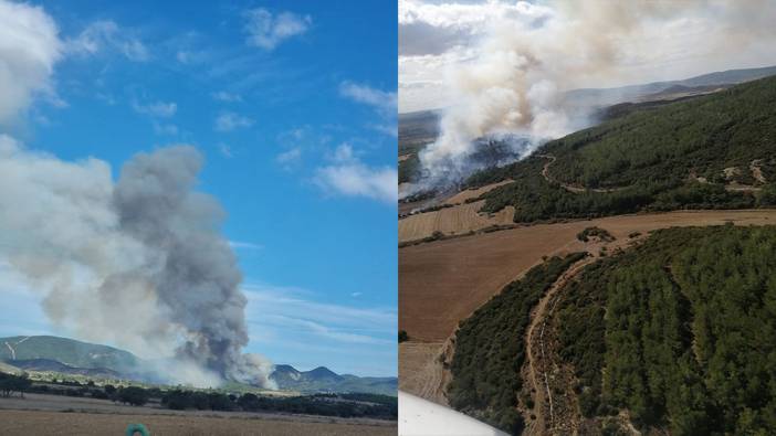 Çanakkale Gelibolu'da orman yangını