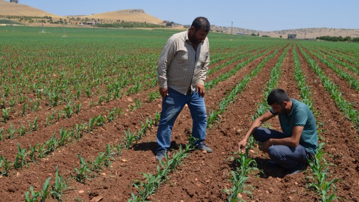 Tarımda akıllı çiftçilik dönemi