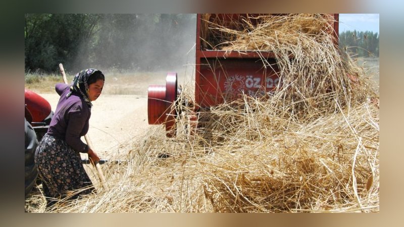 Bakan Kirişçi'den kadın çiftçilere destek