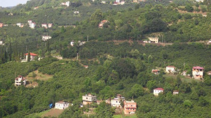 Trabzon'da icradan satılık çayırlık