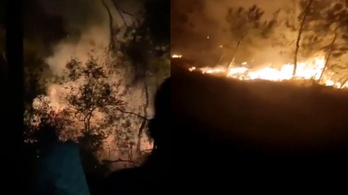 Bursa’da orman yangını