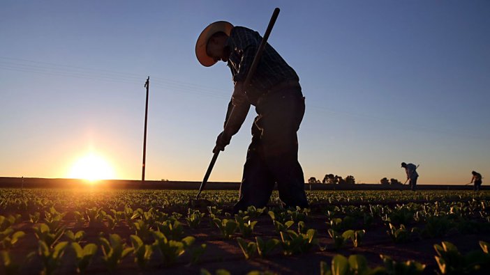 Tarım İşçileri Sendikası kuruldu: 'Tarım emekçilerini gündeme getireceğiz'