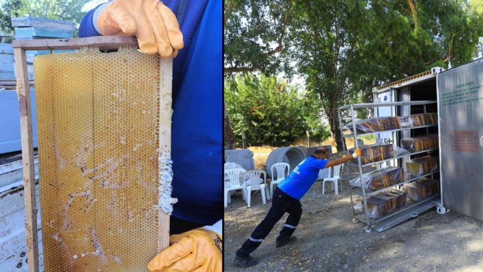 Muğla'da arıcılara büyük destek