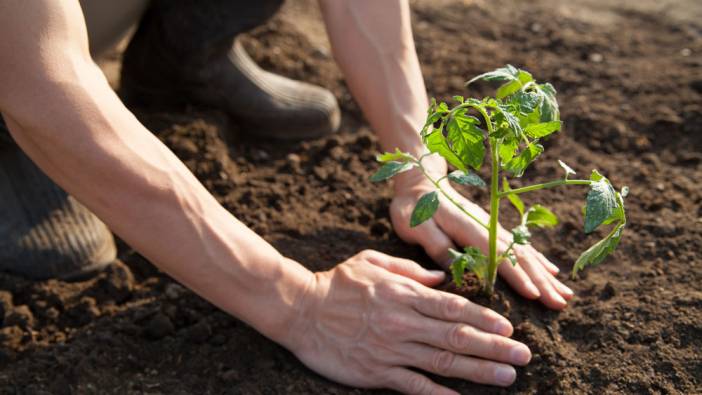 Kıbrıscık Belediyesi geçici personel alacak