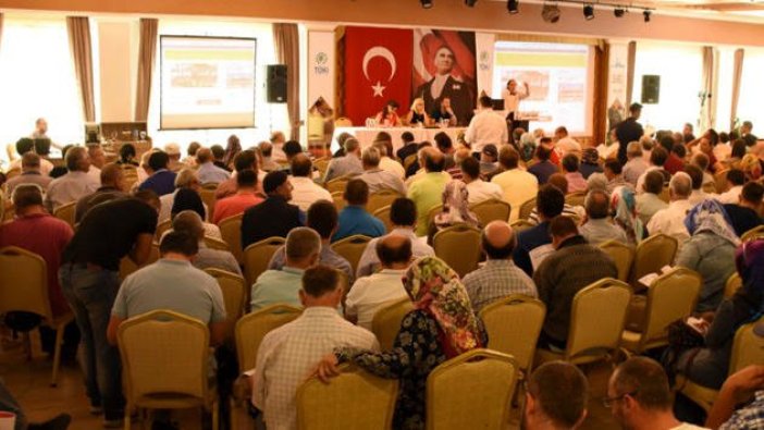 Müzayede rekoru Uşak’ta kırıldı...